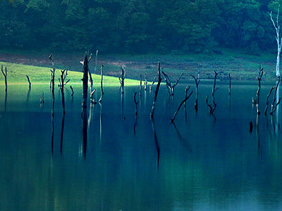 Thekkady